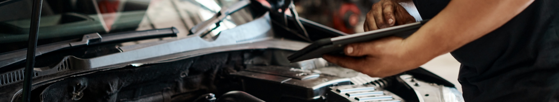 Pre-Purchase inspections