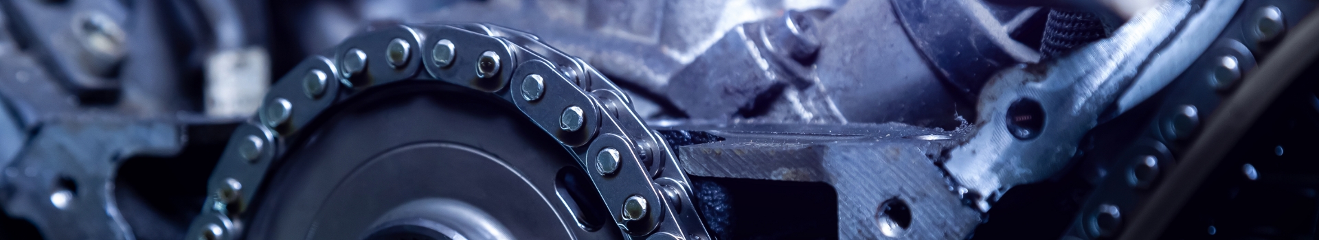 Timing Chain Service